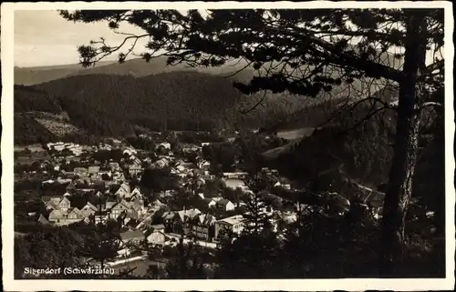 Ak Sitzendorf in Thüringen, Gesamtansicht