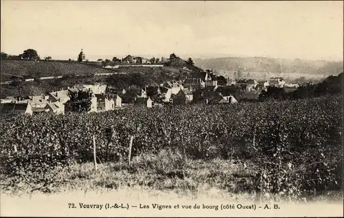 Ak Vouvray Indre et Loire, Les Vignes et vue du bourg