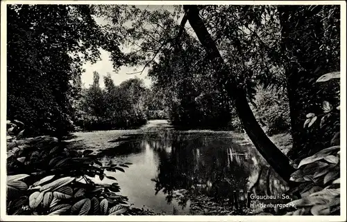 Ak Glauchau in Sachsen, Hindenburgpark