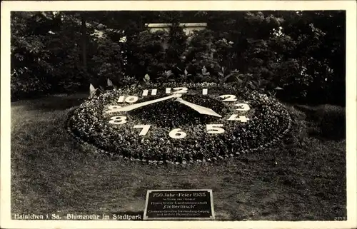 Ak Hainichen in Sachsen, Blumenuhr im Stadtpark