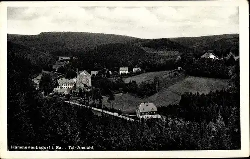 Ak Hammerleubsdorf Leubsdorf im Kreis Mittelsachsen, Talblick, Wald, Häuser