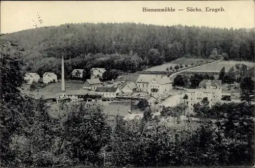 Ak Rechenberg Bienenmühle Erzgebirge, Teilansicht, Wald