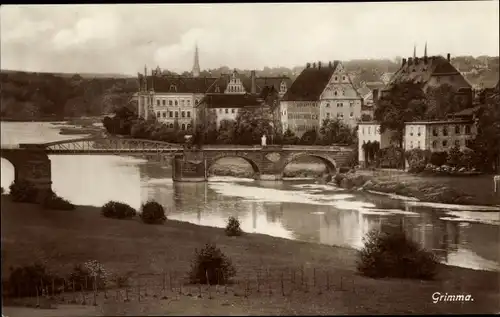 Ak Grimma in Sachsen, Blick auf den Ort