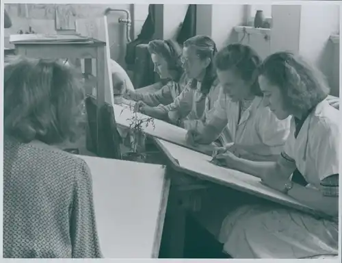 Foto Bert Sass, Berlin, Zeichenklasse, Studentinnen, um 1950