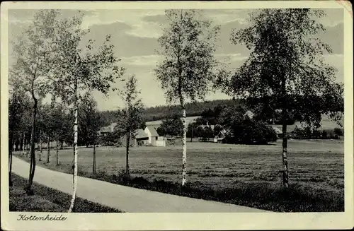 Ak Kottenheide Schöneck im Vogtland, Birkenallee