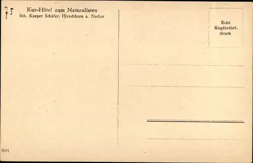 Ak Hirschhorn am Neckar Hessen, Kurhotel zum Naturalisten