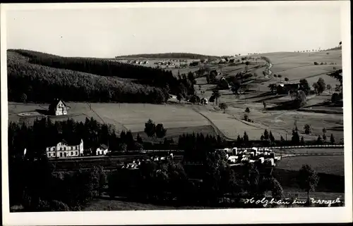 Foto Ak Holzhau Rechenberg Bienenmühle Erzgebirge, Panorama, Teilansicht vom Ort