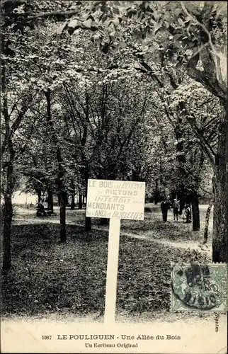 Ak Pouliguen Loire-Atlantique, Une Allee du Bois