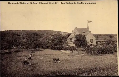 Ak Saint Remy l'Honore Yvelines, Moulin de Bicherel, Les Vaches du Moulin a la pature