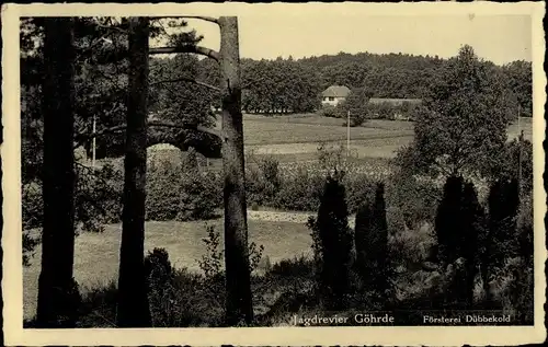 Ak Göhrde in Niedersachsen, Försterei Dübbekold, Waldpartie