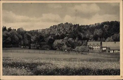 Ak Jonsdorf im Zittauer Gebirge, Blick zum Nonnenfelsen, Häuser