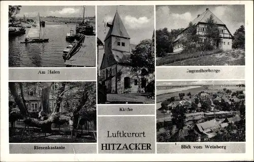 Ak Hitzacker an der Elbe, Kirche, Jugendherberge, Riesenkastanie, Hafen