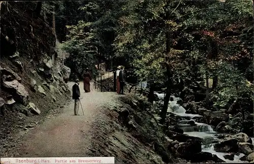 Ak Ilsenburg am Nordharz, Partie am Bremerweg, Bach