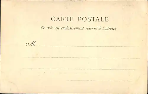 Ak Saint-Coulomb Ille et Vilaine, La Guimorais, Etude d'Abres au Bois du lupin