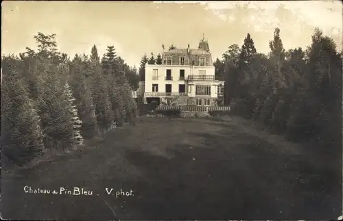 Ak Vulaines Seine et Marne, Chateau du Pin Bleu