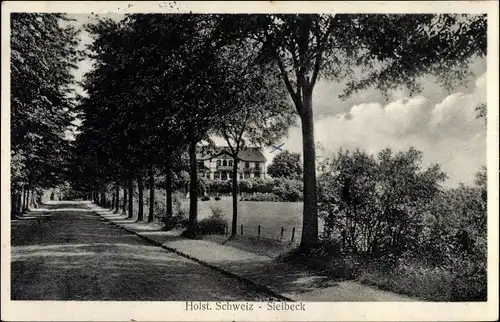 Ak Sielbeck Eutin in Ostholstein, Straßenpartie, Allee