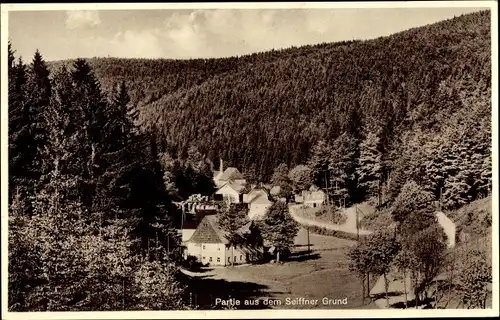 Ak Seiffen im Erzgebirge, Blick in den Seiffner Grund, Waldlandschaft