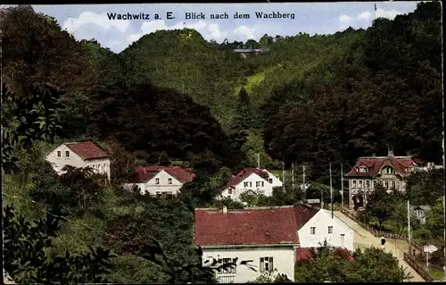 Ak Dresden Loschwitz Wachwitz, Blick nach dem Wachberg