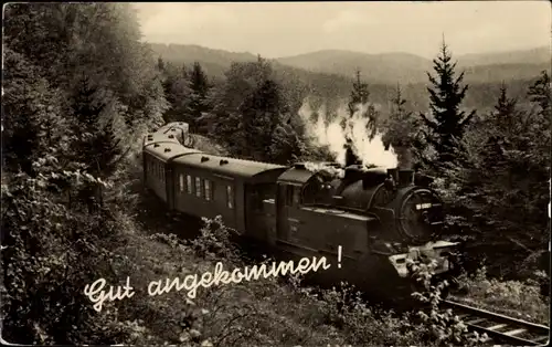 Ak Deutsche Eisenbahn am Vorbeifahren, Waldpartie