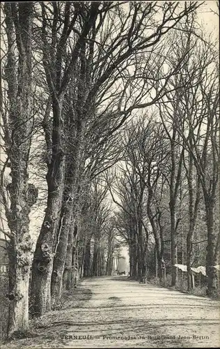 Ak Verneuil Eure, Promenades de Boulevard