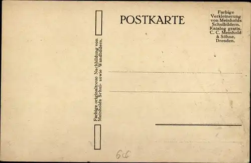 Künstler Ak Meinholds Schulbilder, Kamele in der Wüste, Karawane