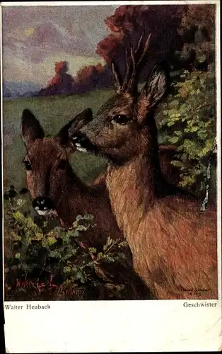 Künstler Ak Heubach, Walter, Jagdtiere, Geschwister, Rehe