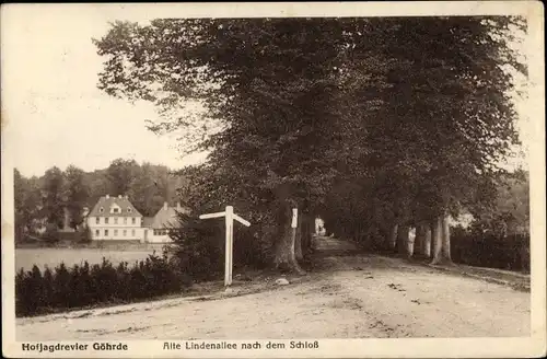 Ak Göhrde in Niedersachsen, Hofjagdrevier, alte Lindenallee nach dem Schloss