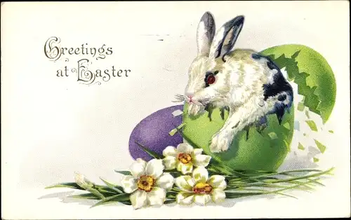 Ak Glückwunsch Ostern, Osterhase schlüpft aus Ei, Narzissen