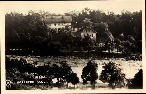 Foto Ak Dresden Schönfeld Weißig Borsberg, Haus, Wald