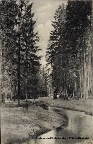 Ak Dresden Klotzsche Königswald, Prießnitzgrund, Wald