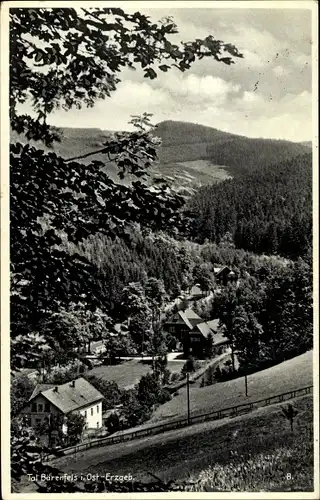 Ak Bärenfels Altenberg im Erzgebirge, Teilansicht