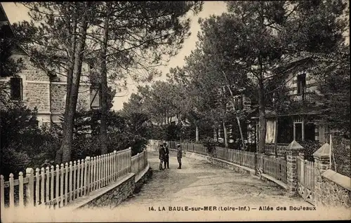 Ak La Baule Loire Atlantique, Allee des Bouleaux