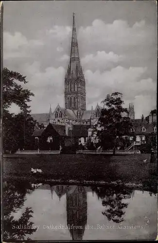 Ak Salisbury South West England, Cathedral from the Palace Gardens
