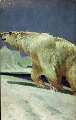 Künstler Ak Eisbär läuft im Schnee