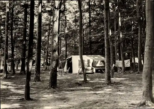 Ak Linow Rheinsberg in Brandenburg, Zeltplatz Warenthin, Wald