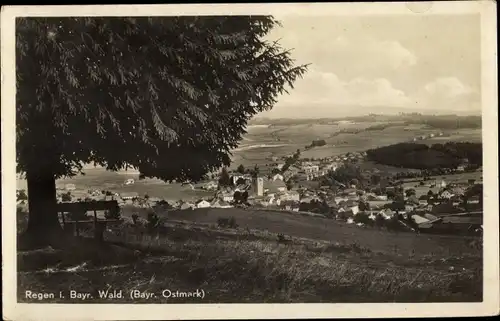 Ak Regen im Bayerischen Wald, Gesamtansicht