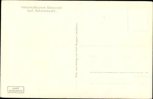 Ak Blasiwald im Schwarzwald, Wegweiser, Schnitzerei