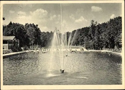 Ak Crimmitschau in Sachsen, Städtisches Freibad im Sahnpark