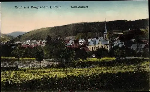 Ak Bad Bergzabern Rheinland Pfalz, Totale