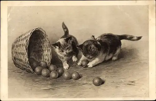 Künstler Ak Zwei Katzen spielen mit Äpfeln aus einem Korb