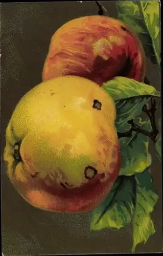 Künstler Litho Früchtestillleben, Äpfel
