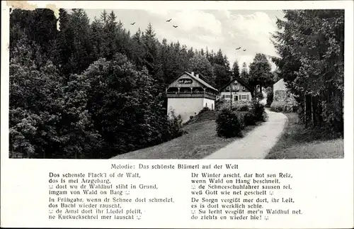 Lied Ak Gelenau im Erzgebirge, Gasthof Waldhof