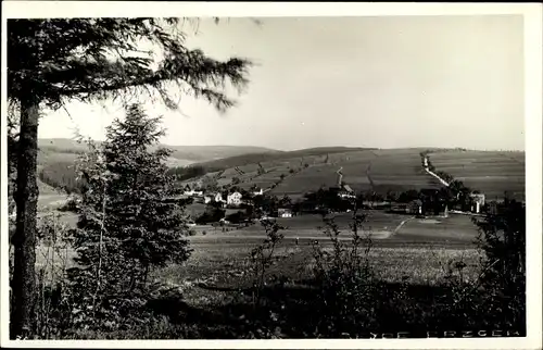 Foto Ak Seyde Hermsdorf im Osterzgebirge, Ort mit Umgebung