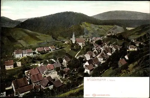 Ak Wildemann Clausthal Zellerfeld im Oberharz, Panorama