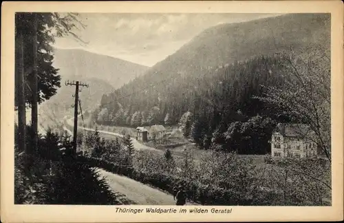 Ak Geratal Thüringen, Waldpartie