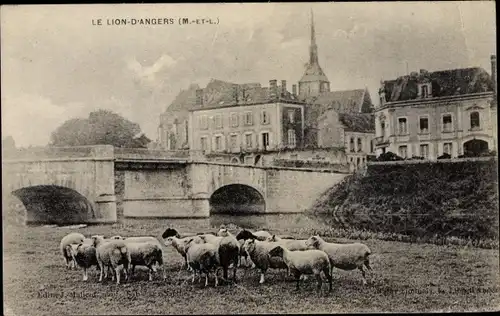 Ak Le Lion d'Angers Maine et Loire, Ortspartie, Schafe