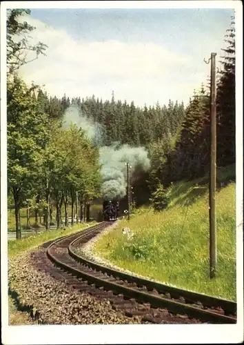 Ak Deutsche Eisenbahn, Kleinbahn, Eisenbahnstrecke, Waldpartie