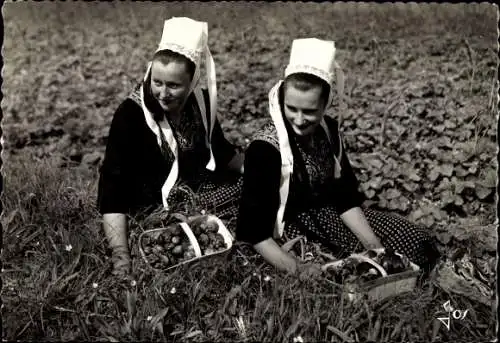 Ak Plougastel Daoulas Finistère, Jeunes Filles en costume de Plougastel dans un champ de fraises