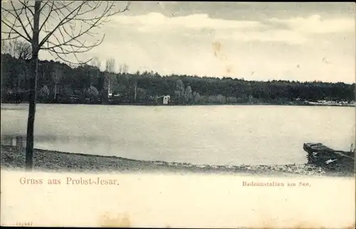 Ak Lübtheen in Mecklenburg, Probst Jesar, Badeanstalten am See