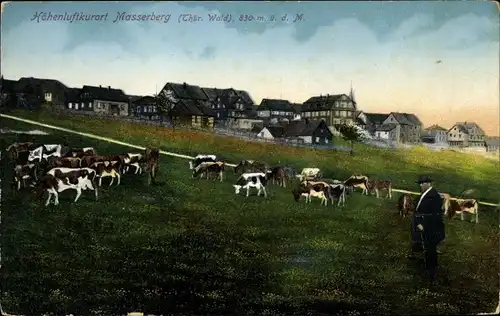 Ak Masserberg im Thüringer Schiefergebirge, Kühe auf der Weide, Hirte, Ort